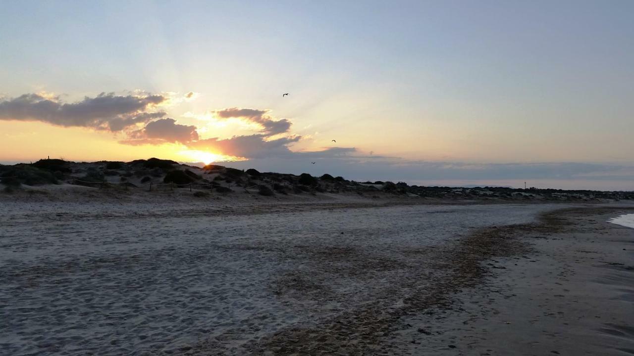 Urbanizacion Puerto Romano - Playa La Mata  Esterno foto